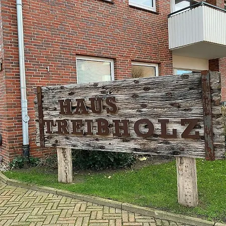 Апартаменты Haus Treibholz 1 *